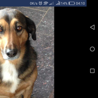 Paloma Rodriguez的照片