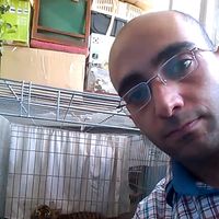 Fotos von Mohamad Kawasmi