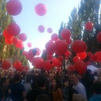 Steffi Selmaier's Photo