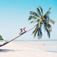 Joshua Stocker的照片