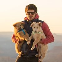 Tigran Manukyan's Photo