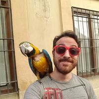 Tulliosangria Tulliosangria's Photo