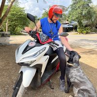 Noah Sondheim's Photo