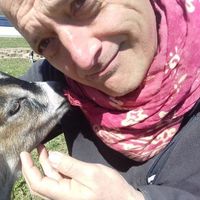 pierluigi marconato's Photo