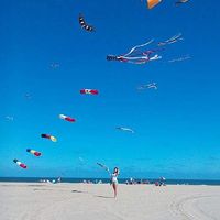 Lera Voronina's Photo