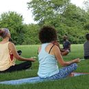 Hatha Yoga & Picnic in Küçüksu Millet Parkı's picture