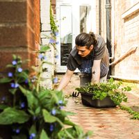 Photos de Jake Harvey