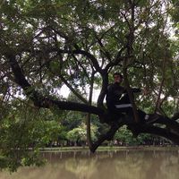 Rayan Morin的照片