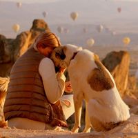 Fotos de Anna Andryushina