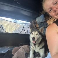 nina ameline's Photo