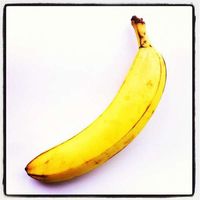 Walter Maurice的照片