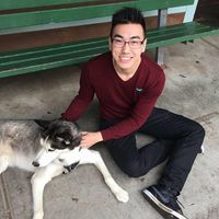 Donald Ngai的照片