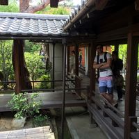 Nicolas Michel's Photo