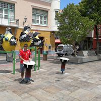 Cristián Donoso's Photo