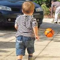 David Fernandes's Photo