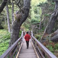 Freya T Sandow's Photo