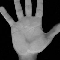 Matija Zivkovic's Photo