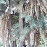 Paulus Gorschlueter's Photo