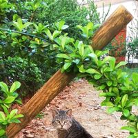 Valerio Messina's Photo