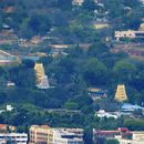 Bilder von Road Trip To Srisailam Via Amrabad Tiger Reserve 