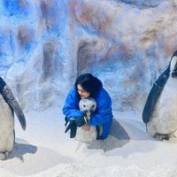 Shaivy Gupta's Photo