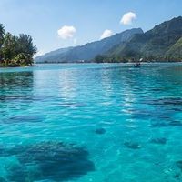 Celenico Celenico's Photo