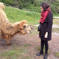 Jeanne Frantz的照片