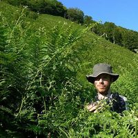 Grzegorz Stepniak的照片