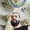 André Noronha's Photo