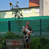 Le foto di Tim Holzbauer