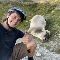 Fotos von Dom Gauler