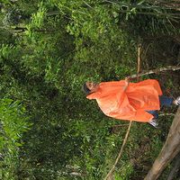 Diana Gonzalez的照片