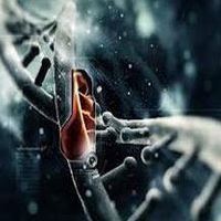 Fotos de Samira Borji