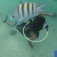 InDios America的照片