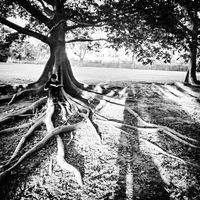 Jomar Soto Mendez的照片