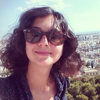 felissilvestris的照片