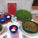 Join to our travel tribe, we are here for you :)'s picture