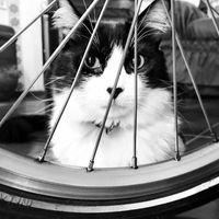 Fabricio Herrera's Photo