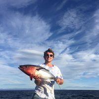 Фотографии пользователя Lewis Connor