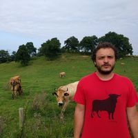 Le foto di Carlos Perez