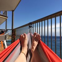 pauline guilleux的照片