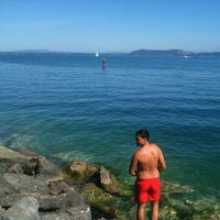 Anthony Castaldi的照片