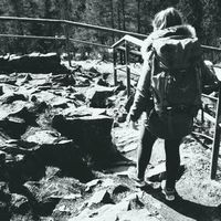 Sinja Rettberg的照片