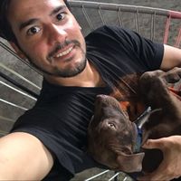 Zdjęcia użytkownika Facundo Bovio