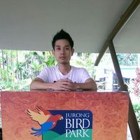 Photos de Johnny Toan