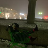 Hanieh Jadidi的照片