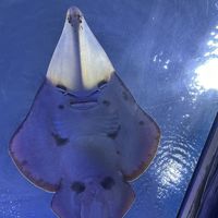 Fotos von May Yanaim