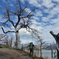 José Cláudio Carneiro Filho's Photo