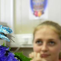 Анна Семина's Photo