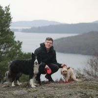 Jules Grieve的照片